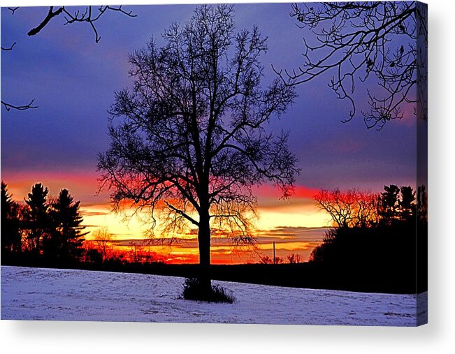 Sunset Acrylic Print featuring the photograph West by Dani McEvoy