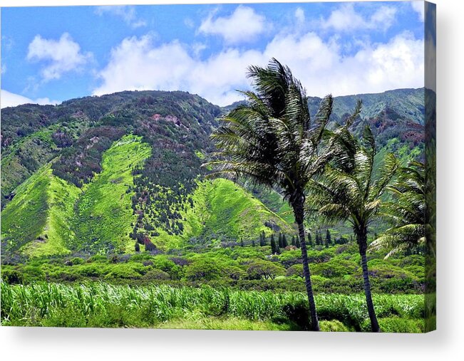 West Maui Mountains Acrylic Print featuring the photograph West Maui Mountains by Kirsten Giving