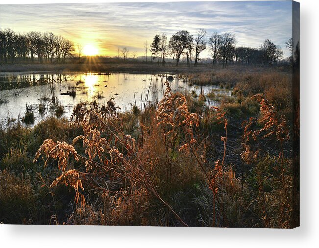 Glacial Park Acrylic Print featuring the photograph Wetland Sunrise in Hackmatach National Wildlife Refuge by Ray Mathis