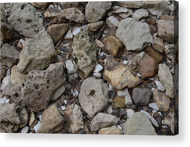 River Rock Acrylic Print featuring the photograph What the Tide Brings In by Tammy Mutka
