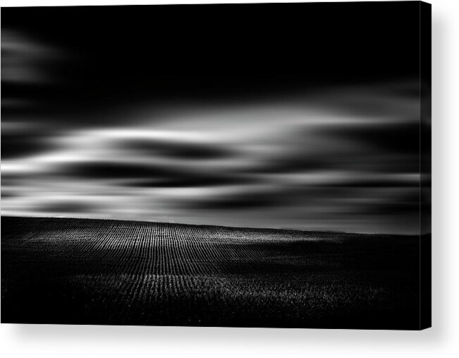 Monochrome Acrylic Print featuring the photograph Wheat Abstract by Dan Jurak