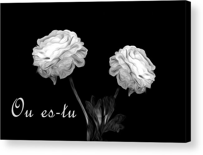 Flower Acrylic Print featuring the photograph Where Are You by Cecil Fuselier