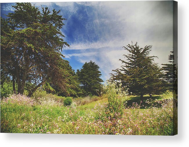 Cambria Acrylic Print featuring the photograph Where Fairies Play by Laurie Search