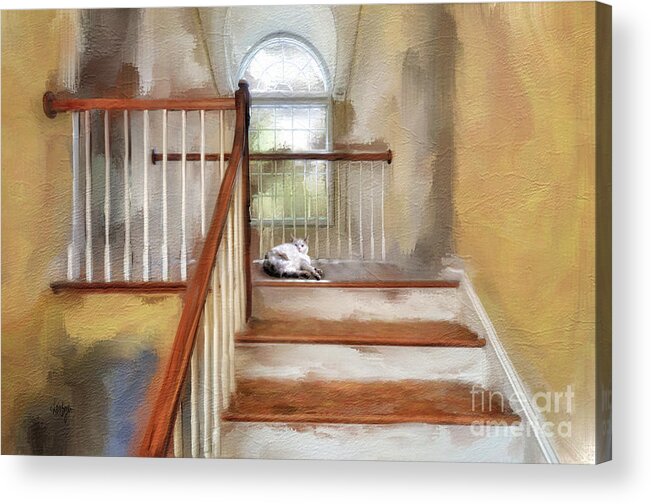 Step Acrylic Print featuring the digital art Where's Kitty by Lois Bryan