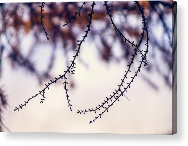 Landscape Acrylic Print featuring the photograph Whip by Gene Garnace