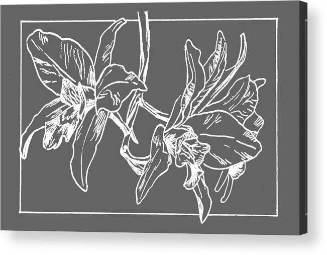 Orchid Acrylic Print featuring the drawing White Orchid on Transparent Background by Masha Batkova