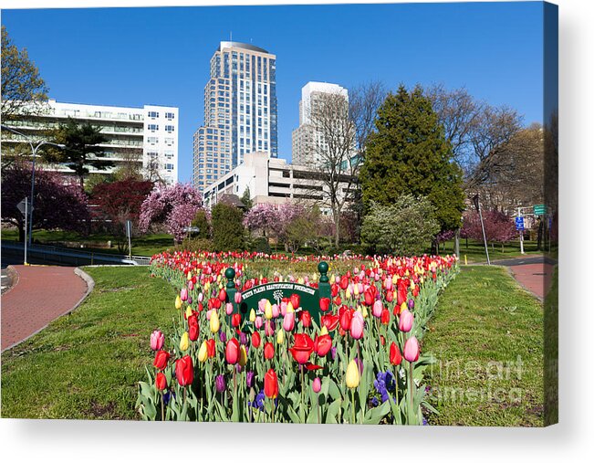 Clarence Holmes Acrylic Print featuring the photograph White Plains Beautification Foundation Garden by Clarence Holmes