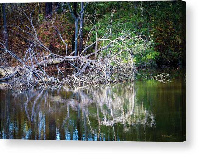 2d Acrylic Print featuring the photograph White Reflections by Brian Wallace