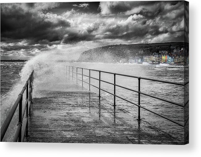Whitehead Acrylic Print featuring the photograph Whitehead with a splash of colour by Nigel R Bell