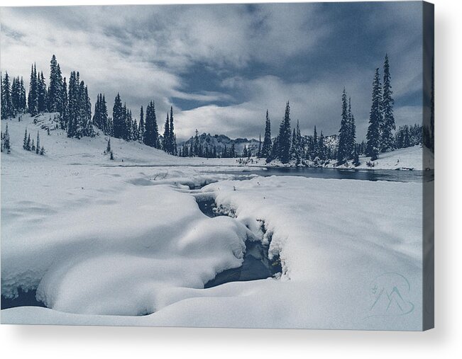 Mt. Rainier Acrylic Print featuring the photograph Whiteout by Gene Garnace