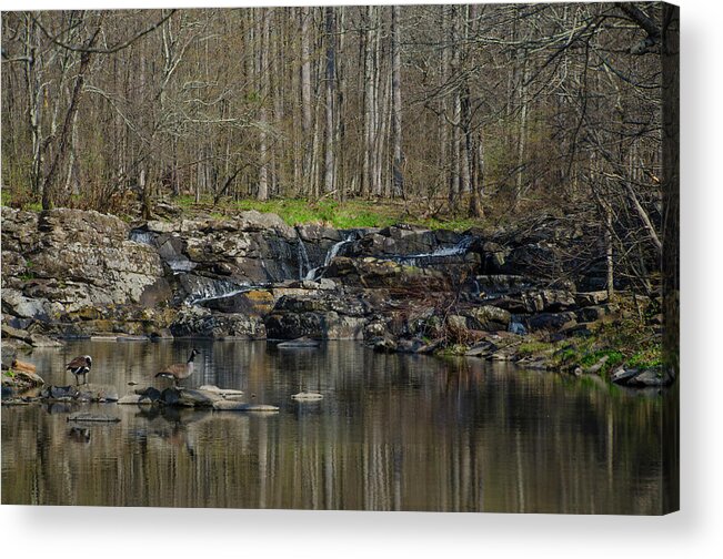 Wickecheoke Acrylic Print featuring the photograph Wickecheoke Creek - New Jersey by Bill Cannon