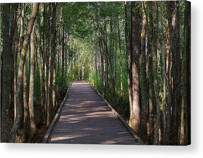 Wildlife Acrylic Print featuring the photograph Wild Boardwalk by Kenneth Albin