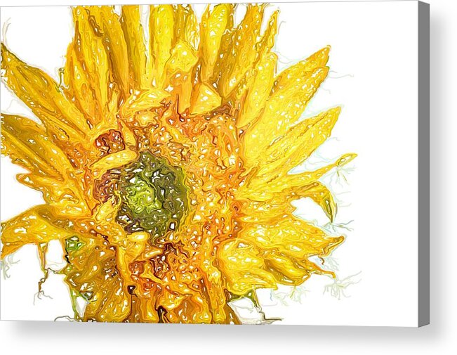  Acrylic Print featuring the photograph Wild Flower Two by Heidi Smith