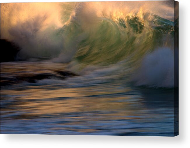 Landscape Acrylic Print featuring the photograph Wild Triton by Brad Scott