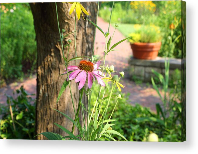 Wildflowers Acrylic Print featuring the photograph Wildflowers in the Garden by Ellen Tully