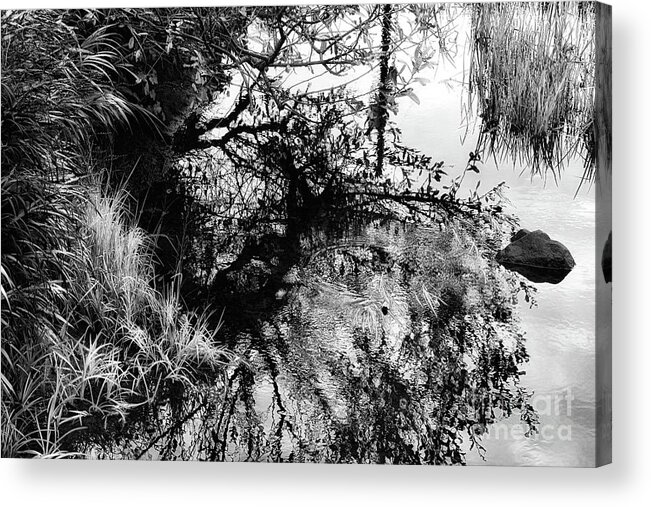 Black And White Acrylic Print featuring the photograph Will-o-de-Wisp - Limited Edition Available 1 of 25 by Lauren Leigh Hunter Fine Art Photography