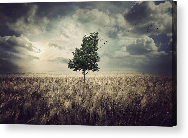 Cloud Acrylic Print featuring the digital art Wind by Zoltan Toth