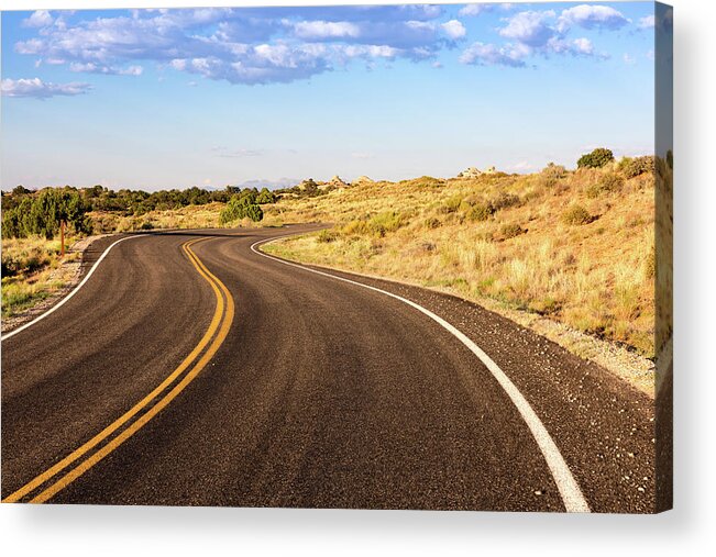 Nature Acrylic Print featuring the photograph Winding Desert Road at Sunset by Kyle Lee