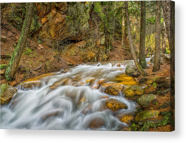 River Acrylic Print featuring the photograph Winding Stream by Tim Reaves