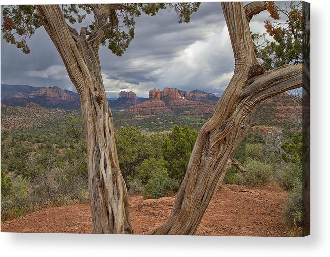 Window View Acrylic Print featuring the photograph Window View by Tom Kelly