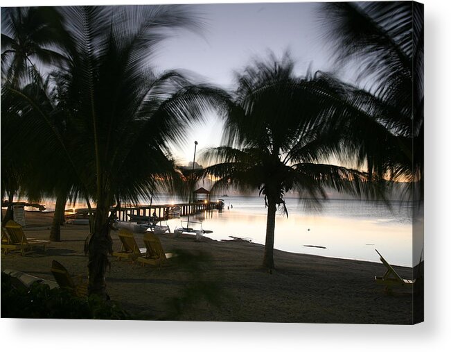 Oceanfront Acrylic Print featuring the photograph Windswept by Steve Madore