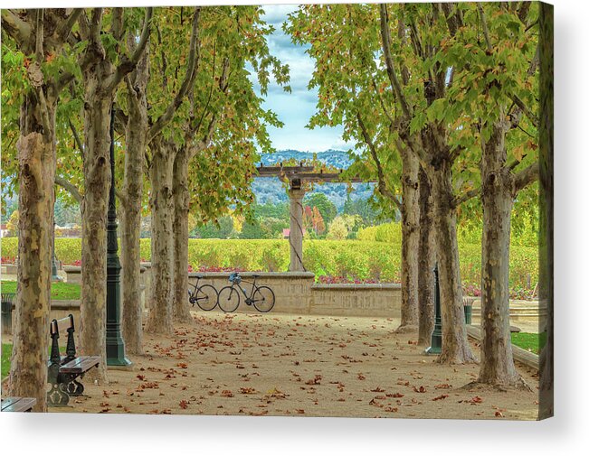Nature Acrylic Print featuring the photograph Winery in Autumn by Jonathan Nguyen