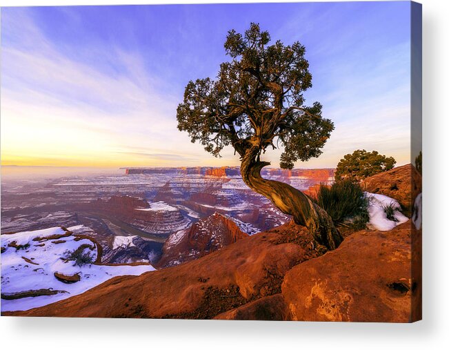 Winter At Dead Horse Acrylic Print featuring the photograph Winter at Dead Horse by Chad Dutson