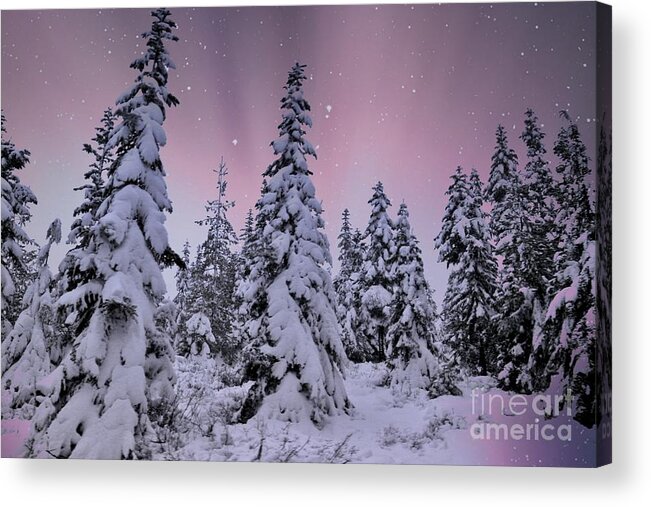 Landscape Acrylic Print featuring the photograph Winter Beauty by Sheila Ping