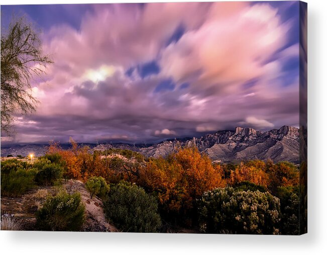 Oro Valley Acrylic Print featuring the photograph Winter Colors 25 by Mark Myhaver