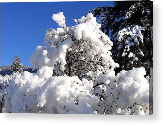 Winter Acrylic Print featuring the photograph Winter Cotton by Will Borden
