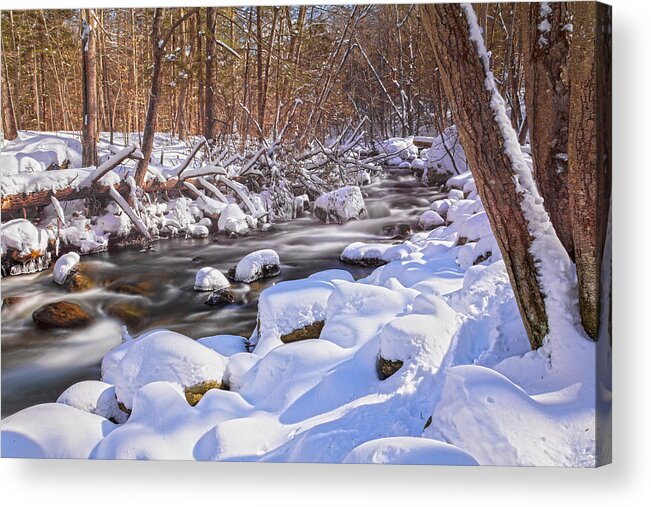 Winter Acrylic Print featuring the photograph Winter Crisp by Angelo Marcialis