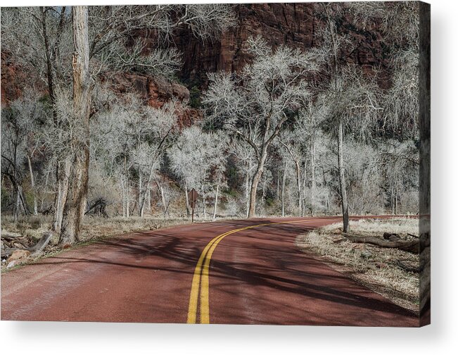 Zion National Park Acrylic Print featuring the photograph Winter Drive Through Zion Canyon by Greg Nyquist