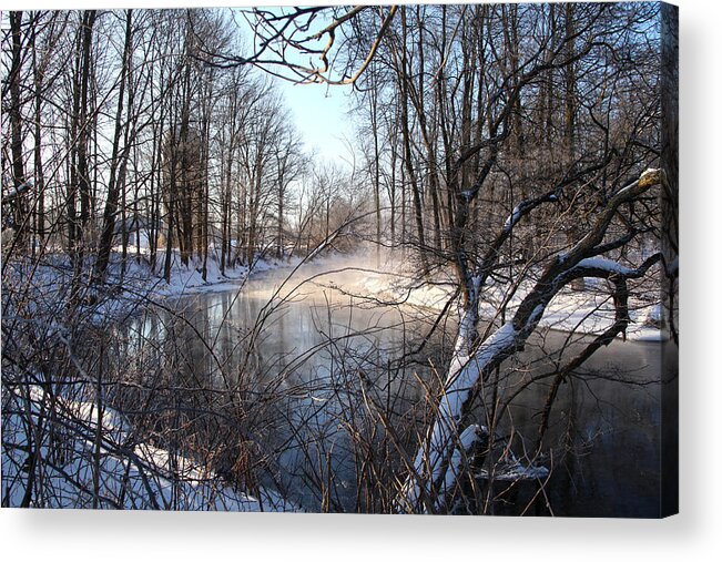 Snow Acrylic Print featuring the photograph Winter Frost by Robert Och