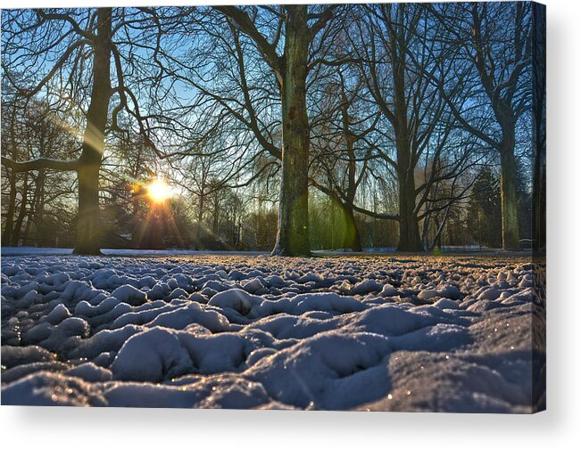 Sun Acrylic Print featuring the photograph Winter In The Park by Frans Blok