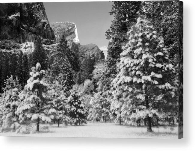 Tree Acrylic Print featuring the photograph Winter in Yosemite Valley by Lawrence Knutsson