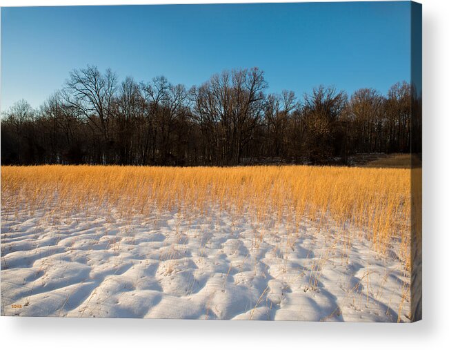 Winter Acrylic Print featuring the photograph Winter Landscape 3 by Dana Sohr