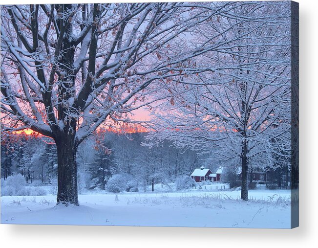 North Common Meadow Acrylic Print featuring the photograph Winter Morning by John Burk