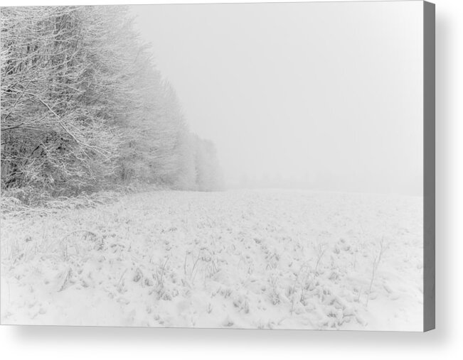 Landscape Acrylic Print featuring the photograph Winter Obstruction by Chris Bordeleau