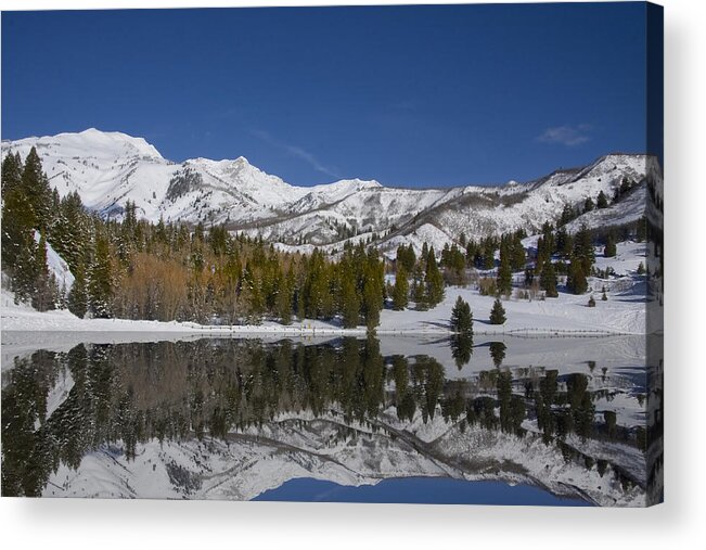 Panoramic Acrylic Print featuring the photograph Winter Refelctions by Mark Smith