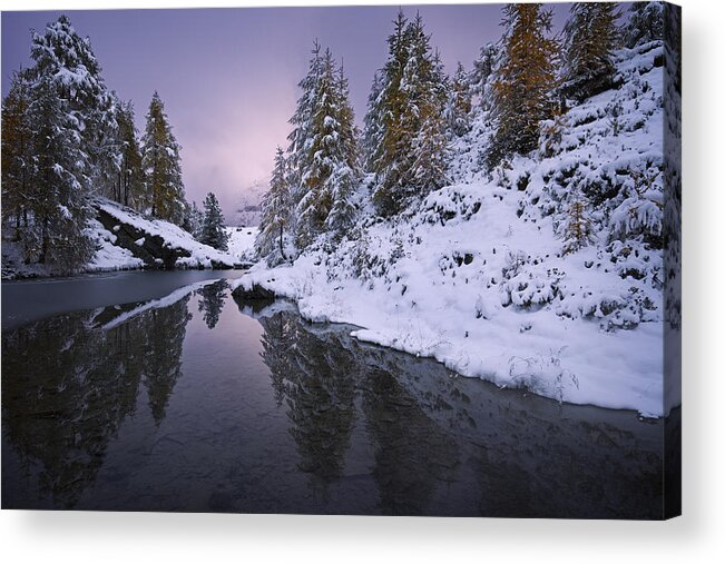 Sunset Acrylic Print featuring the photograph Winter Reverie by Dominique Dubied