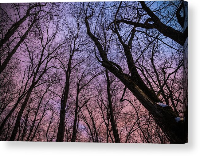 Winter Acrylic Print featuring the photograph Winter Sky by Kristopher Schoenleber