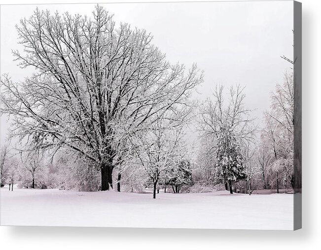 Hovind Acrylic Print featuring the photograph Winter Snow Storm 1 by Scott Hovind