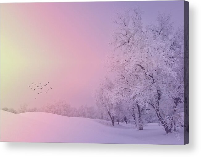 Altered Reality Acrylic Print featuring the photograph Winter Symphony by Debra Boucher