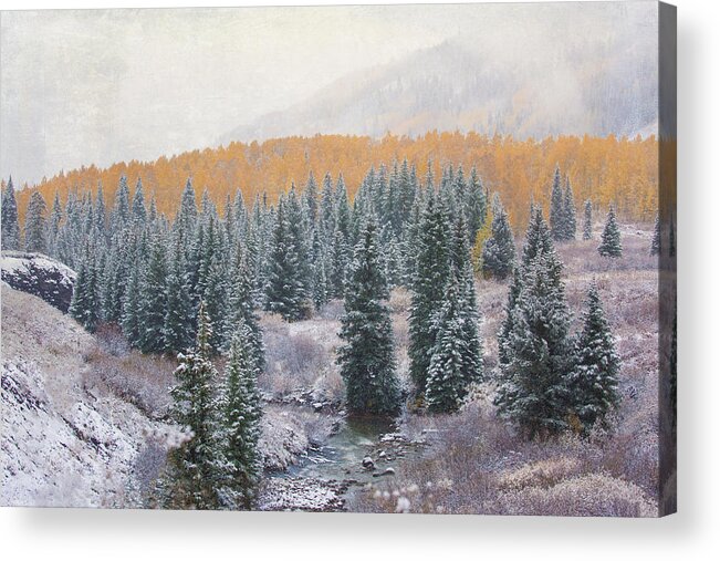 Colorado Acrylic Print featuring the photograph Winter Touches the Mountain by Kristal Kraft