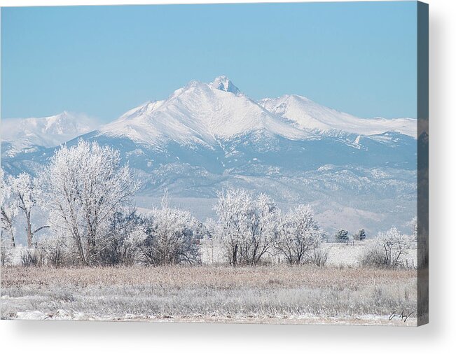 Winter Acrylic Print featuring the photograph Winter Trees and Longs Peak by Aaron Spong