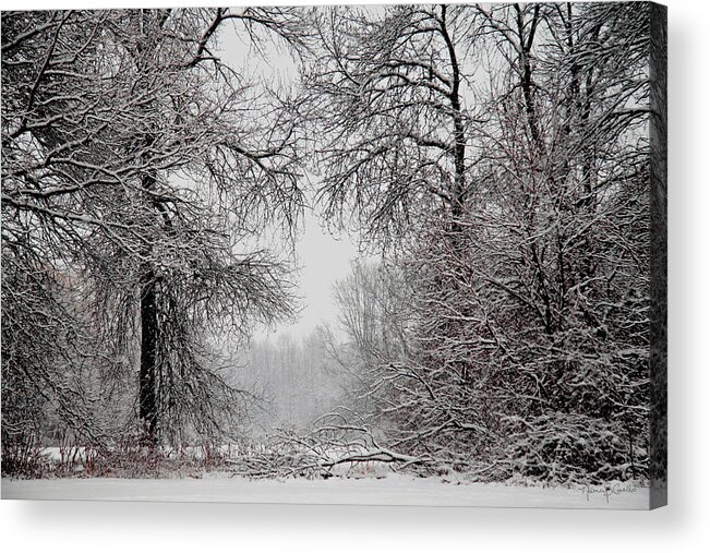 Winter Acrylic Print featuring the photograph Winter Wonderland II by Nancy Coelho