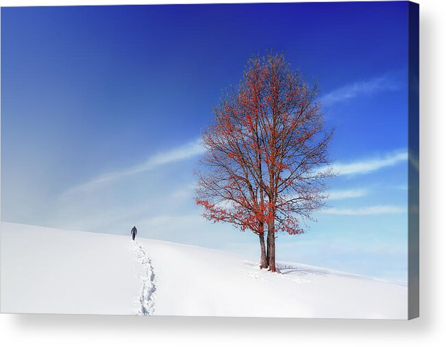 Winter Acrylic Print featuring the photograph Winterfall by Mikel Martinez de Osaba