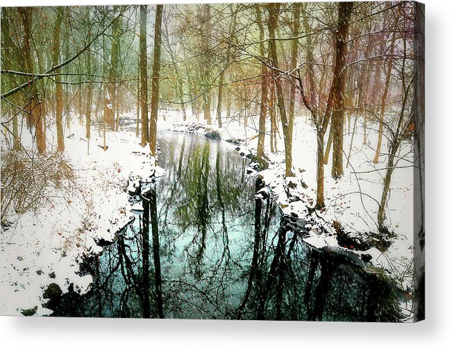 Rye New York Nature Center Acrylic Print featuring the photograph Winter's Chill by Diana Angstadt