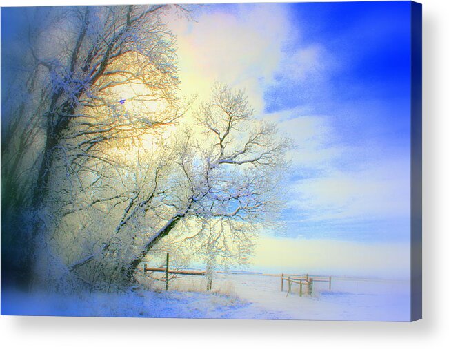 Snowy Sunday Acrylic Print featuring the photograph Winters Pretty Presents by Julie Lueders 
