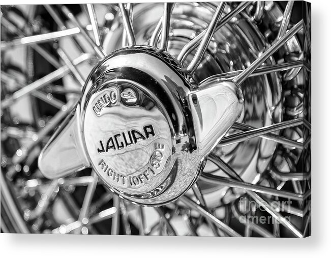 Jaguar Acrylic Print featuring the photograph Wire Wheel Black and White by Dennis Hedberg